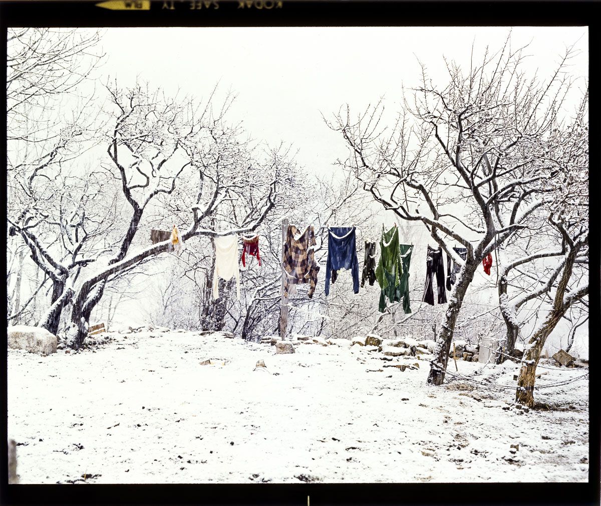 Image Etienne Renzo